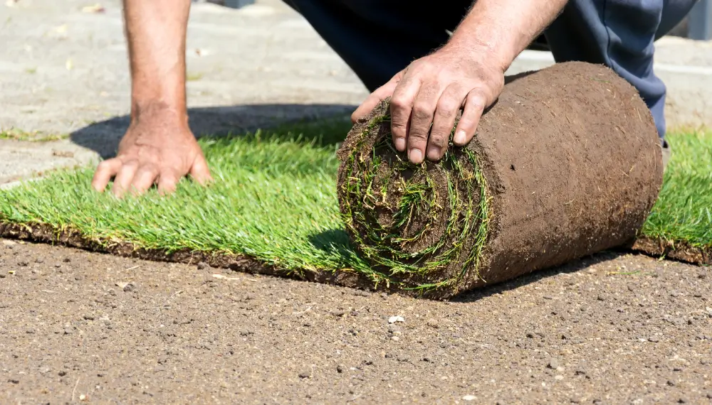 Zelf graszoden leggen