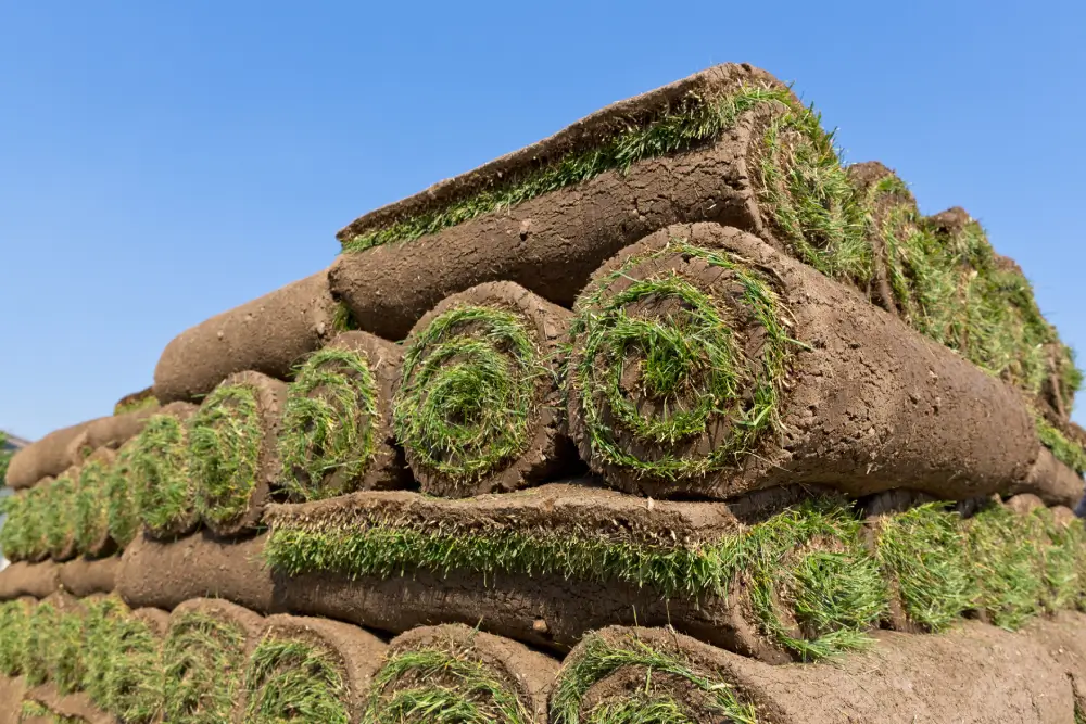 Hoeveel graszoden heb je nodig Zo bereken je het aantal m2